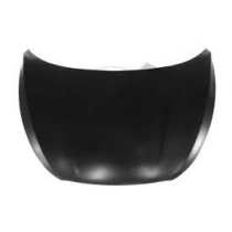 Capot Tucson 2010 2011 2012 2013 2014 2015 664002S000 RB-62115