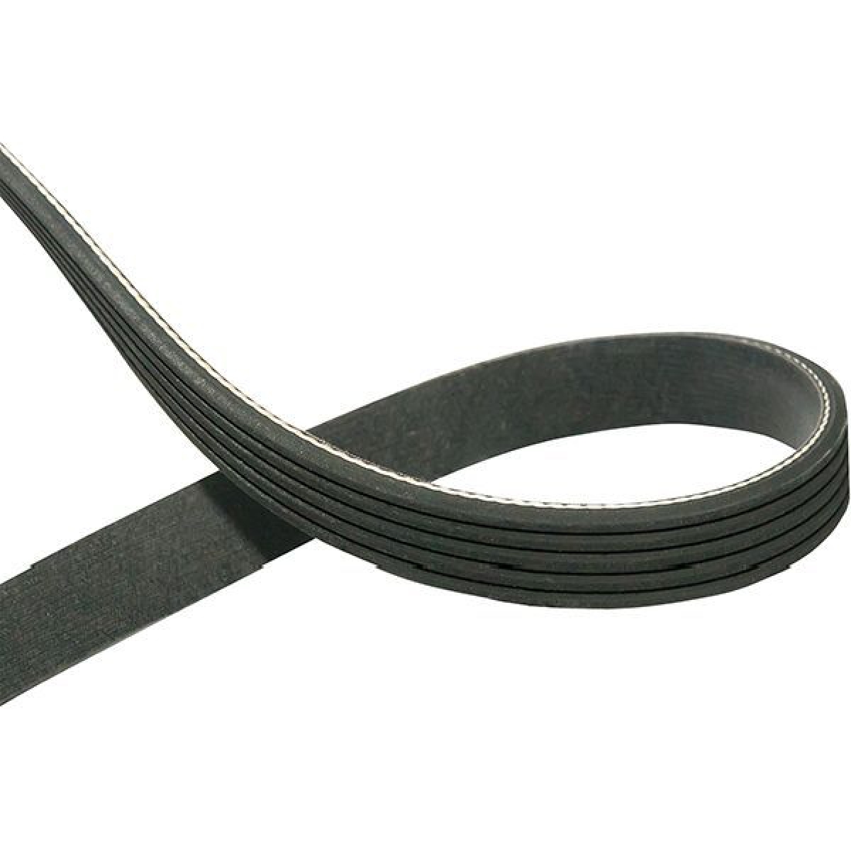 Correa alternador