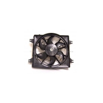 Electro ventilador Santa Fe 2006 2007 2008 2009 2010 253802B100 RB-60407