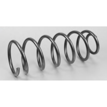 ESPIRAL TRAS RH/LH 06>